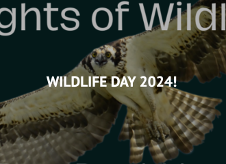 Wildlife Day 2024!
